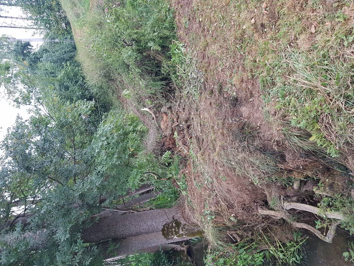 20180815_065951.jpg